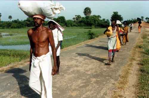 Devotees set out on Pada Yatra